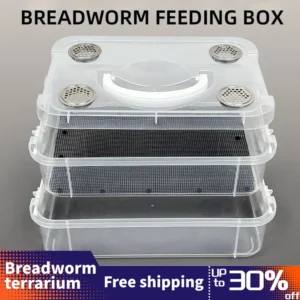 Live Feed Storage Box Suitable For Lizards And Chameleons Ideal For Keeping Mealworms Crickets Dubia Roaches And Superworms