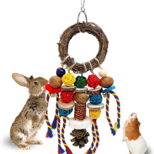 Chew Treat Toy for Teeth, Rabbit Cage Hanging Chew Toys and Rattan Ring with Snack,Natural Material Handwoven Chinchilla T