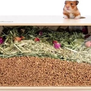 Visible Hamster Digging Box for Syrian Dwarf Roborovski Campbell Hamsters Gerbils Mice Lemmings Degus or Other Small-Siz