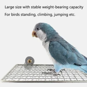 Stainless Steel Pet Parrot Raw Wood Fork Tree Branch Stand Rack Squirrel Bird Hamster Branch Perches Chew Bite Toys Stick