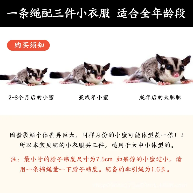 4 Pcs /set Sugar Quoll Harness + Leash Set Escape-Proof Adjustable Collar for Pet Small Animals Hamsters Sugar Gliders Squirrels - Image 4