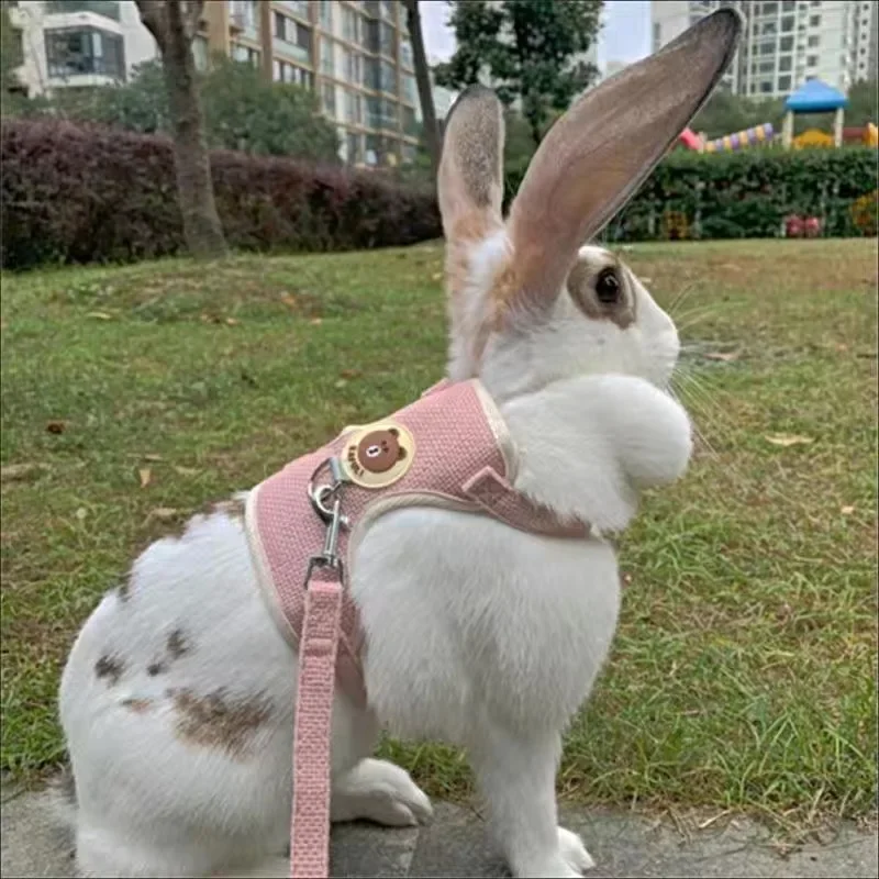 new type Cute Rabbit Harness and Leash Set Bunny Pet Accessories Vest Harnesses Rabbit Leashes for Outdoor Walking Pets Supplies - Image 5