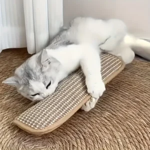 Premium Interactive Cat Toys & Scratching Mat - Durable Scratcher for Solo Play & Bonding, Perfect Gift for Felines