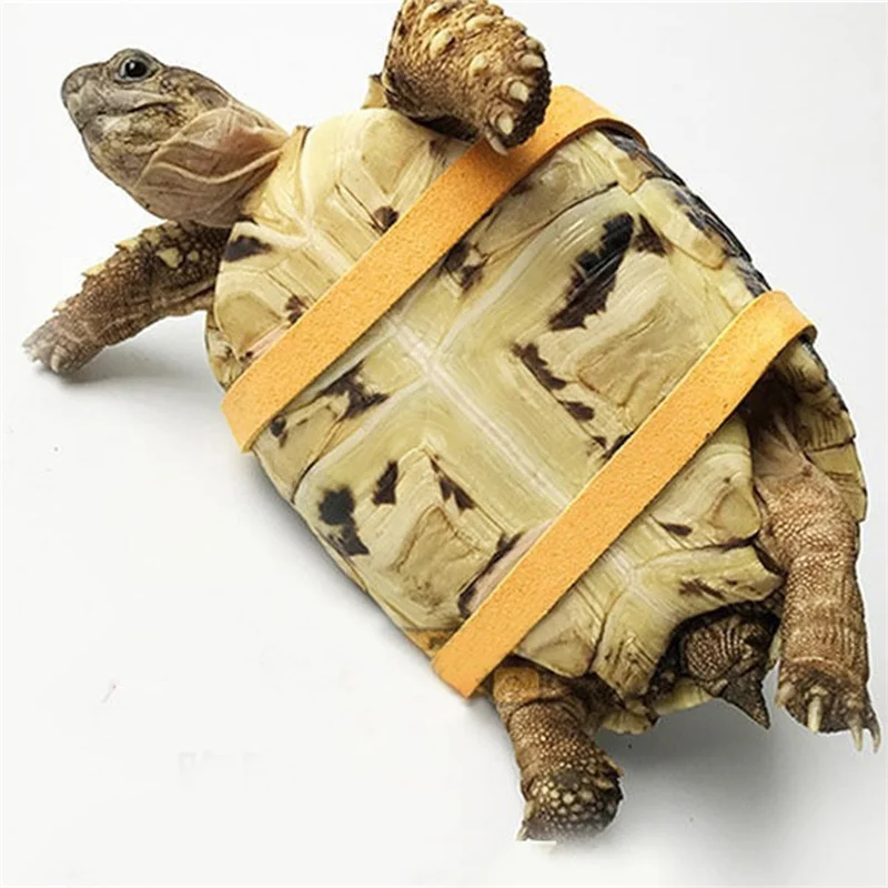 Turtle Traction Belt Control Rope Training Belt Outdoor Walking Leash Harness Reptile Leash Pet Supplies PU Leather Pet Traction - Image 3