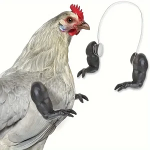 Mocking pet props Chicken arm decoration products chicken forelimbs decoration dinosaur chicken arm small pet toys
