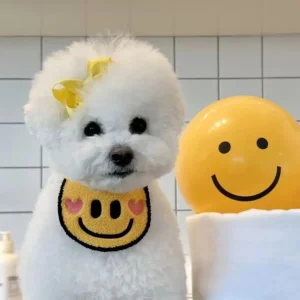 Pet Bib Scarf Collar Happy Smile Face Dog Neckerchief Cat Saliva Towel Pets Accessory