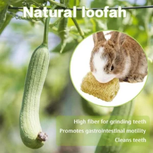 Bunny Chew Toys 4 Pieces Loofah Gerbil Chewing Supplies Hamster Enrichment Toys For Pet Parents Shelters Shops Cats Dogs Living