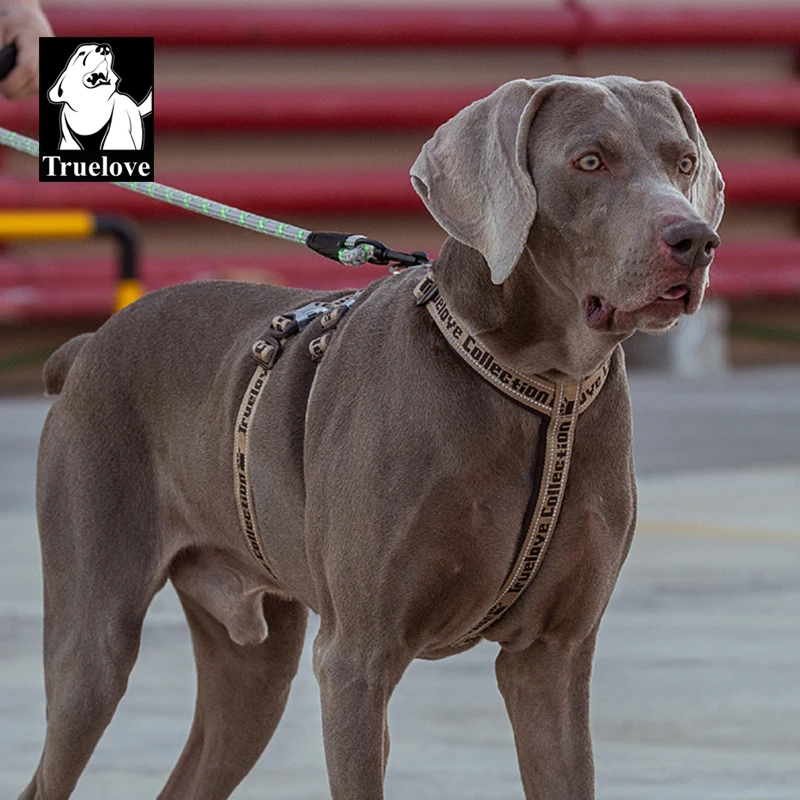 Truelove Double H Harness Neoprene Padding Durable Strong Reflective Gow in the Dark Aluminum Alloy Fitting Light Weight TLH6571 - Image 3