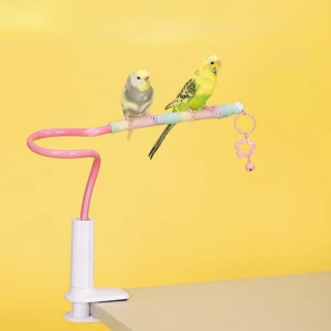 Bird Perch Stand Bird Training Portable Tabletop Platform parrot accessories Indoor Bird Stands for Parakeets Lovebirds Budgies