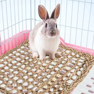 2pcs Pet Grass Mat For Rabbit Guinea Pig Hamster Chew Woven Bed Mat Bunny Squirrel Natural Ground Protector Durable Eco-Friendly