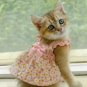 1pc Cat Skirt Pet Dress Dog Summer Dress Romantic Style With Pink Floral Print, Small Dog Clothes Pet Clothing Chihuahua Skirt