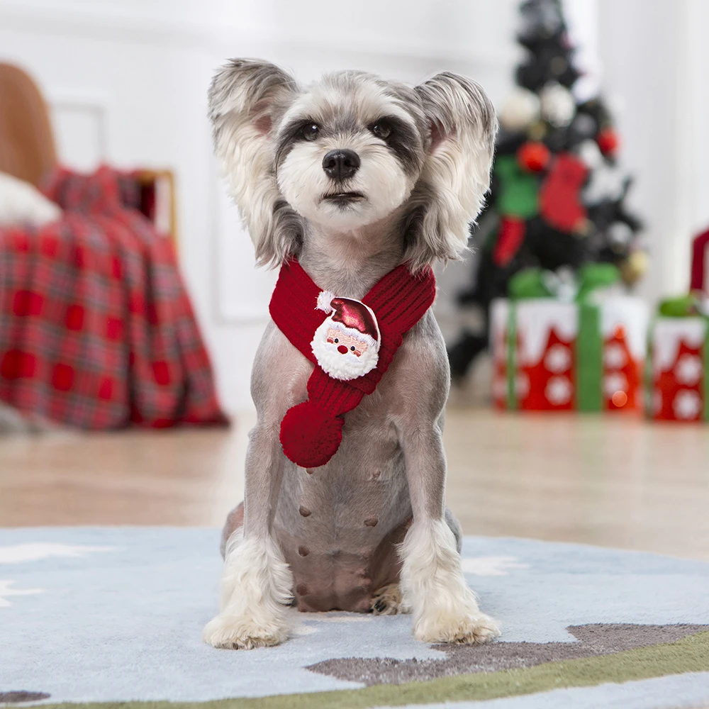 New Year Festive Sphynx Cat Scarf for Cats Gotas Winter Warm Pet Neck Accessories Garfield Siamese Dog Scarves mascotas Products - Image 14