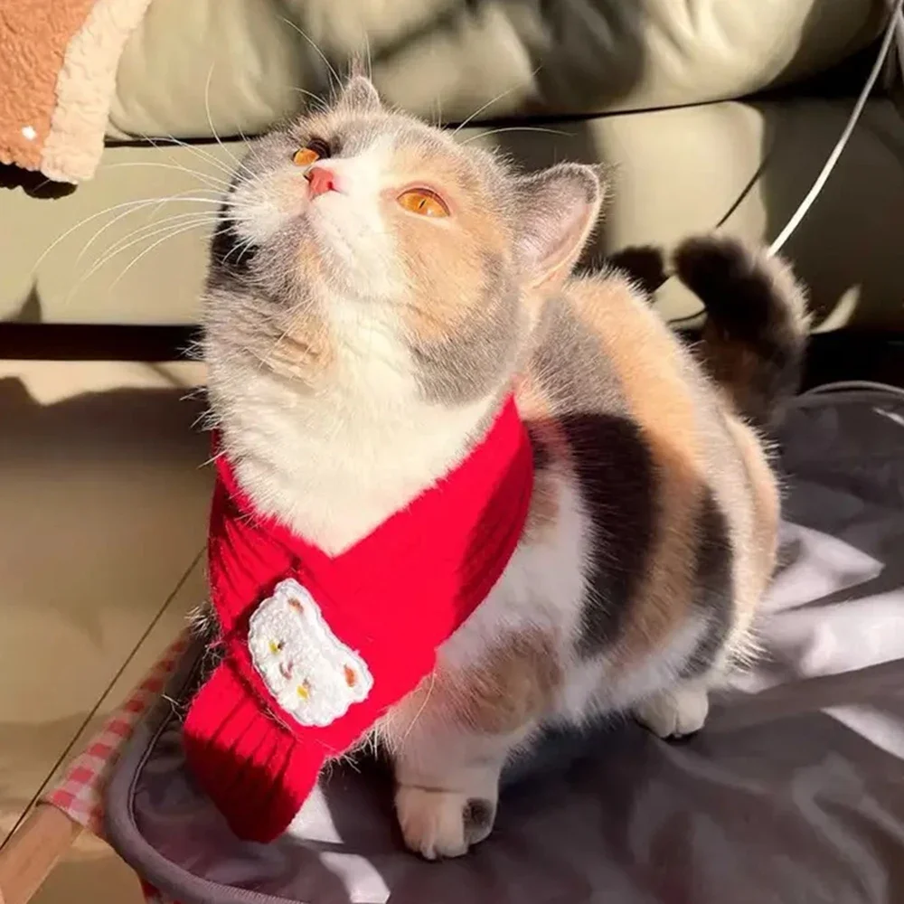 New Year Festive Sphynx Cat Scarf for Cats Gotas Winter Warm Pet Neck Accessories Garfield Siamese Dog Scarves mascotas Products - Image 5