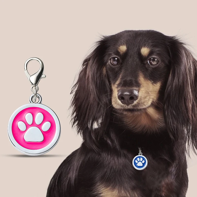 Customizable Dog Collar Address Tags for Dogs Medal with Engraving Name Kitten Puppy Accessories Personalized Cat Necklace Chain - Image 4