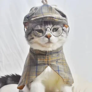 Pet Detective Transformation Cloak Hat Set Cat Dog Checkered Halloween Dress Up Funny Cloak Coat Puppy Clothes for Small Dogs
