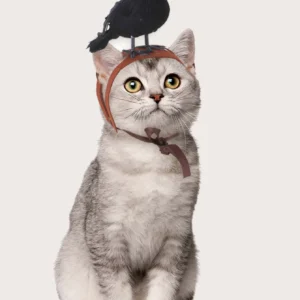 1pc-Halloween Crow themed Pet Headwear - Fun Accessories for Cats and Dogs