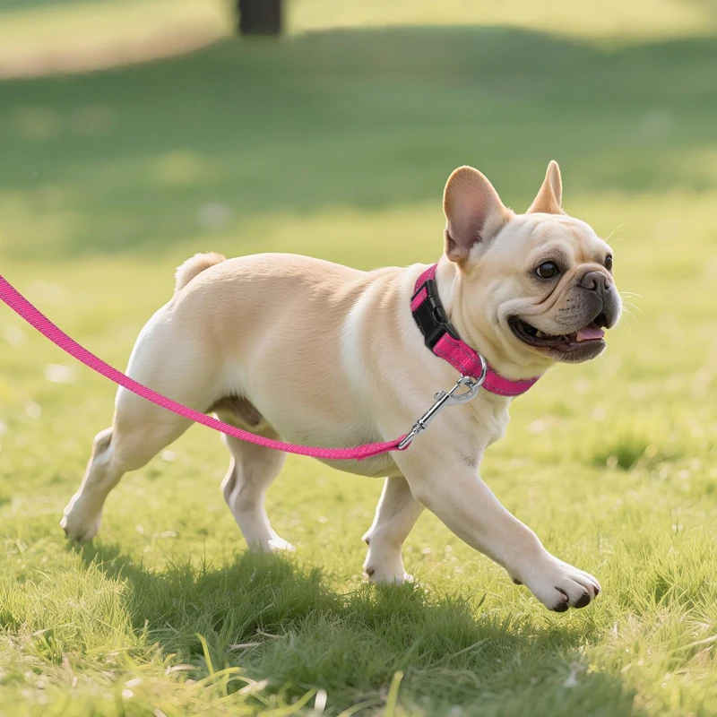 Small Medium large Dogs Reflective Collar Walking Traction Rope Safety Pet Collar Night Soft Adjustable dog collar Pet Supplies - Image 2