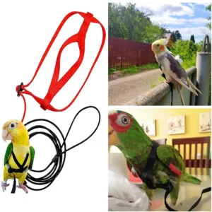 Parrot Bird Harness Leash Outdoor Activities Flying Traction Straps Band Flying Rope For Small Parakeets Cockatiels Bird NEW