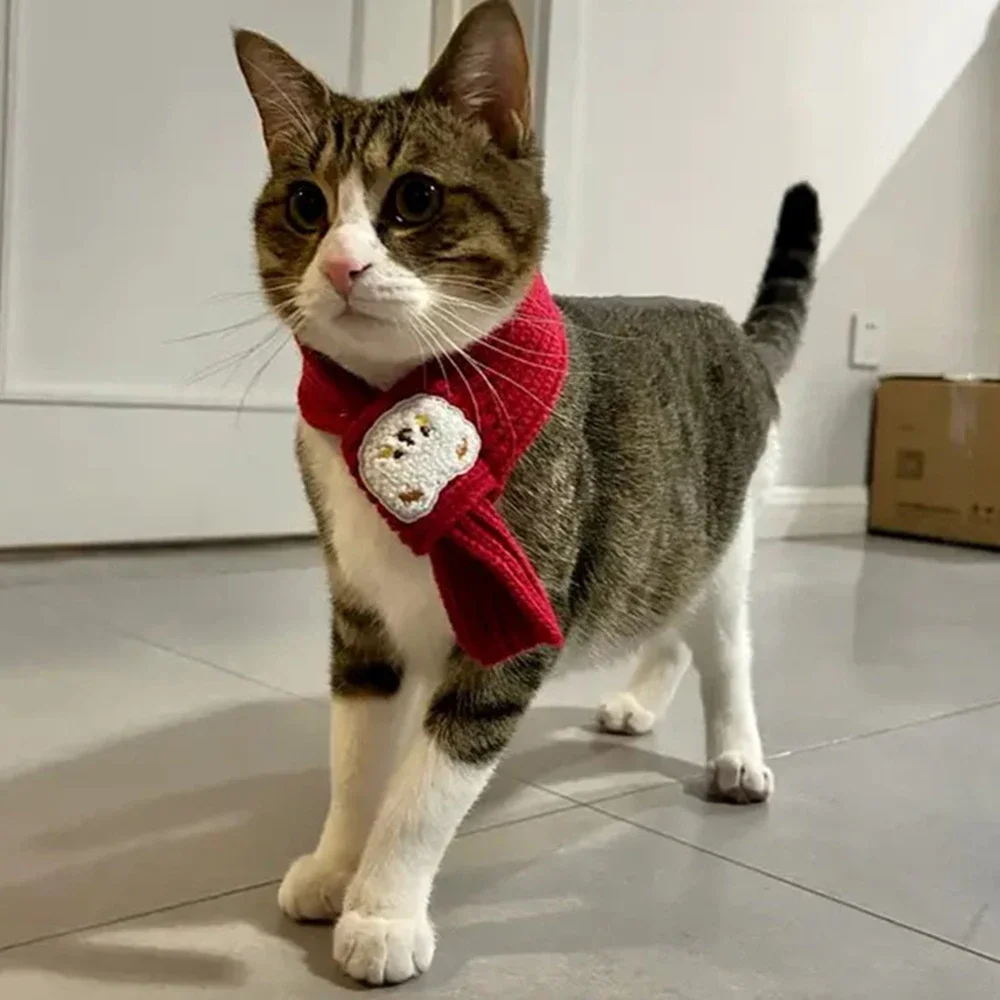 New Year Festive Sphynx Cat Scarf for Cats Gotas Winter Warm Pet Neck Accessories Garfield Siamese Dog Scarves mascotas Products - Image 6