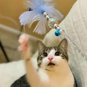 Pet Interactive Wand Toy Cat Tease Rod With Bell And  Colorful Feather For Kitten Cat Supplies