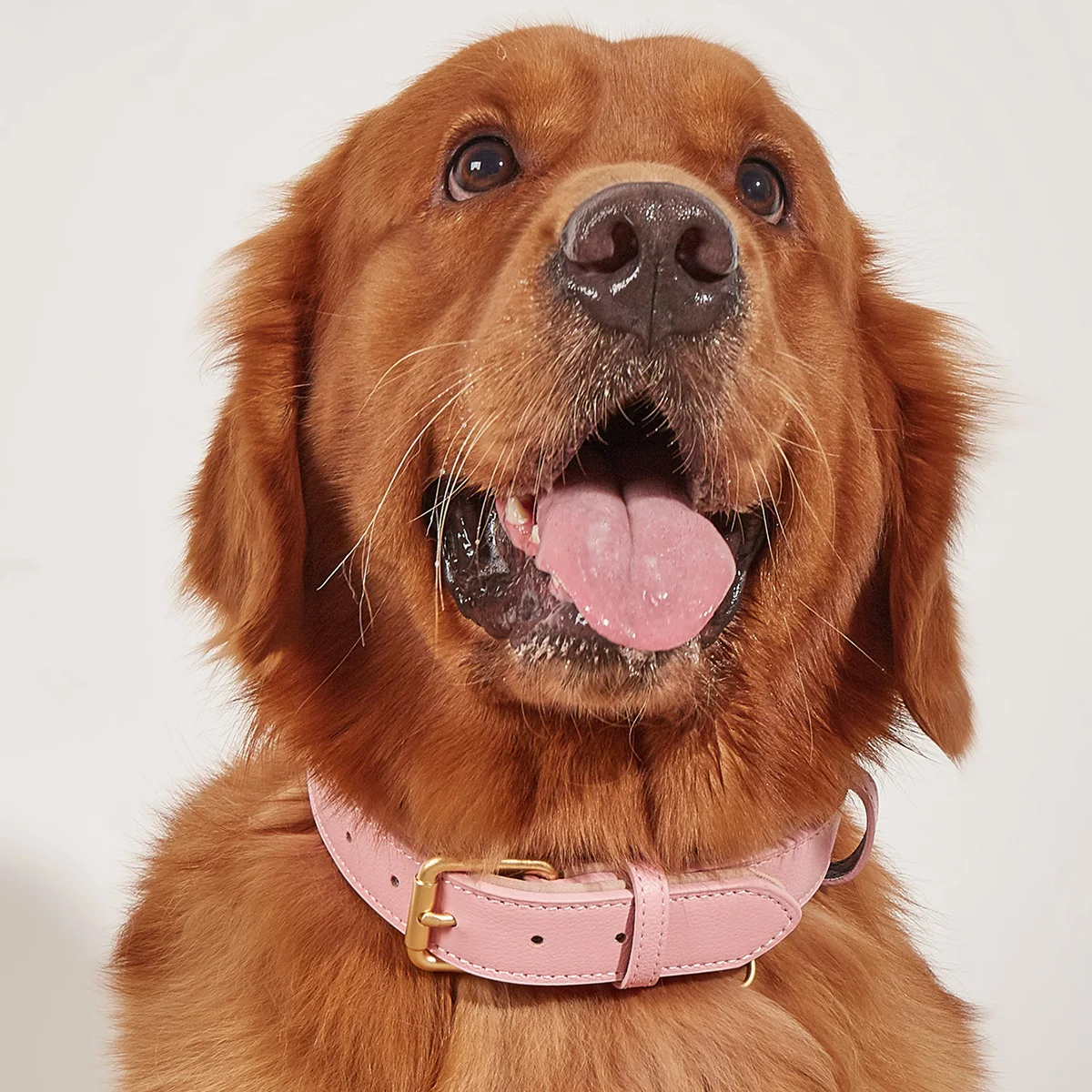 Leather Dog Collar Big Small Dog Soft Padded Collar Adjustable Pet Products for Dog Accessories Dachshund Pitbull Bulldog Collar - Image 6