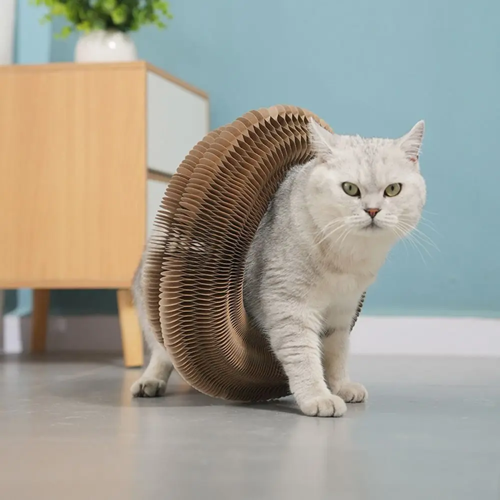 Durable Transformable Kitty Kurlz Cat Toy No Crumbs Wear-Resistant Cat Scratching Board Resistant To Scratching Cat Scratcher - Image 2