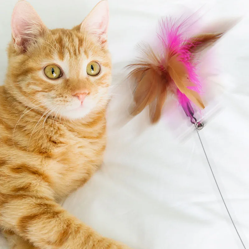 Funny Interactive Cat Toys Silica Collar Feather Teaser Stick With Bell Kitten Playing Teaser Wand Training Toys Pet Supplies - Image 4