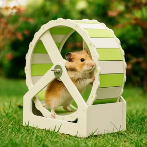 Durable Plastic Hamster Running Wheel Stable Base Colorful Pet Hamster Bracket Silent 21cm Exercise Wheel for Small Animals