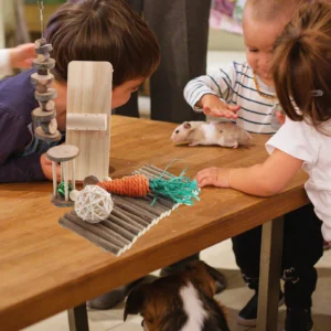 1Set Hamster Wood Chewing Set Natural Small Pet Cage Accessories Teeth Care Fun Entertainment Bunny Toys Guinea Pig Treats