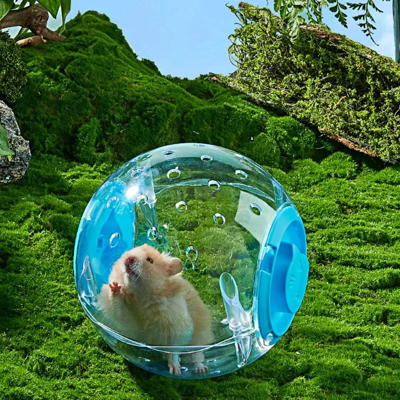 Hamster Running Ball Toy Transparent Strap Running Wheel Roller Sports Ball Golden Bear Mouse Slider Pet Supplies - Image 2