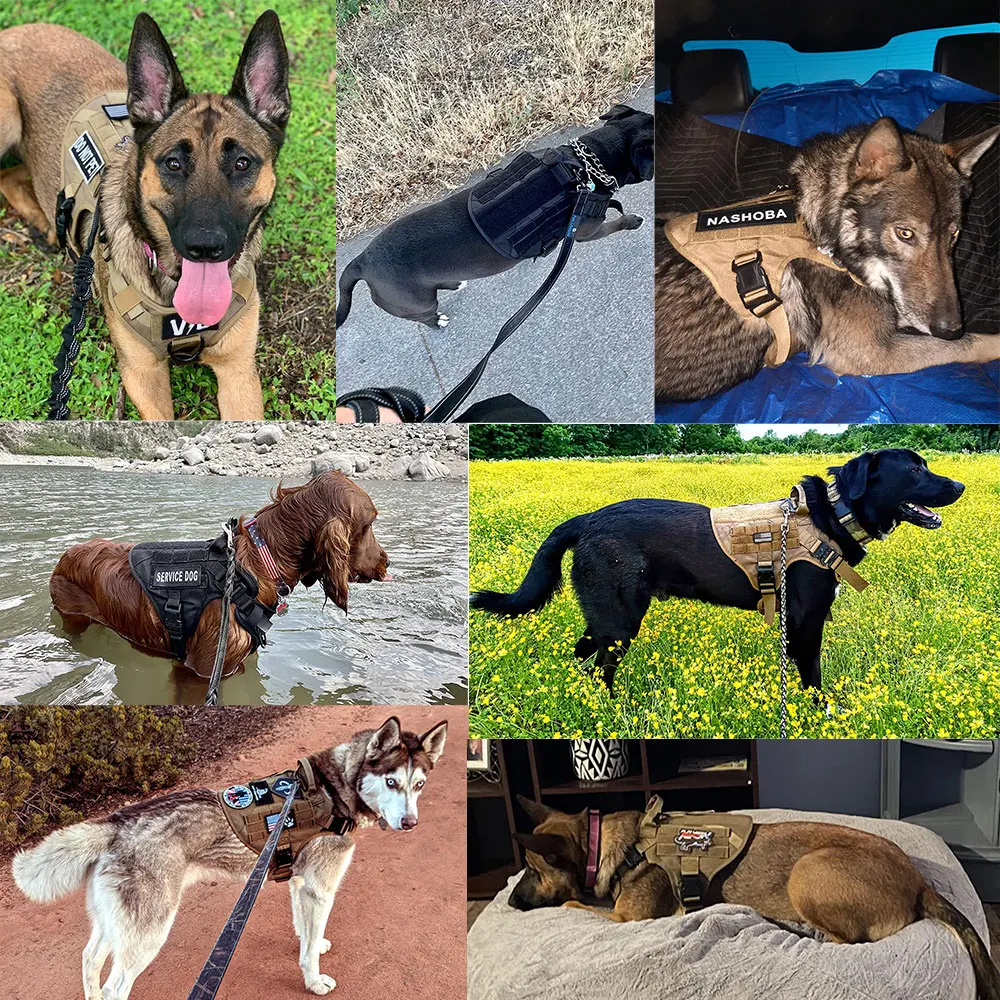 Military Large Dog Harness Pet German Shepherd Malinois Training Vest Tactical Medium Dog Harnesses Hunting For Dogs Accessories - Image 6