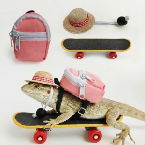 Creative Pet Skateboard Toys Set Funny Interactive Parrot Skateboard Plastic with Backpack Lizard Engineer Hat Pet Gifts