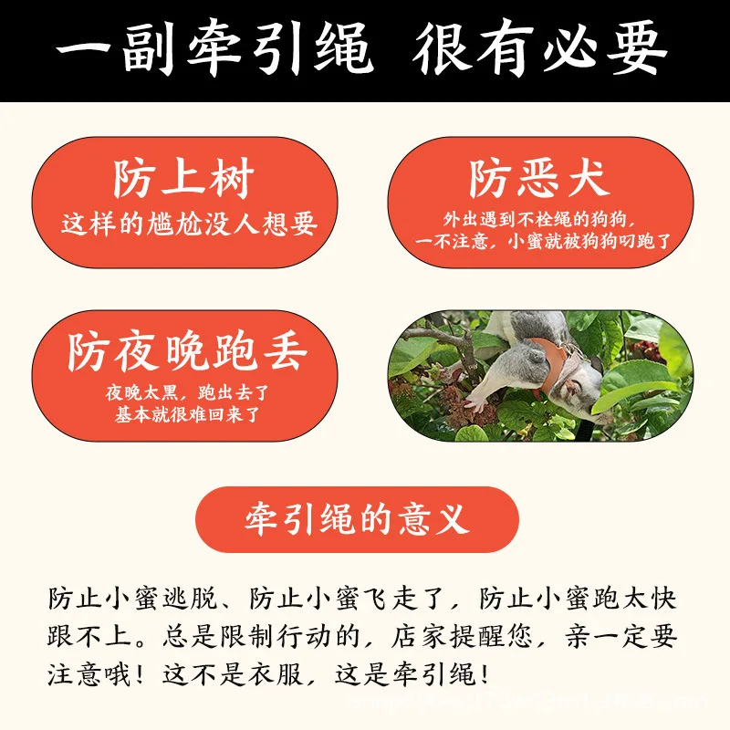 4 Pcs /set Sugar Quoll Harness + Leash Set Escape-Proof Adjustable Collar for Pet Small Animals Hamsters Sugar Gliders Squirrels - Image 3