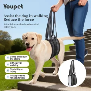 Dog Lift Harness Adjustable Dog Sling for Back Legs Support Rehab Harness for Weak Rear Legs Pet Aid Assist Tool For Elderly Dog