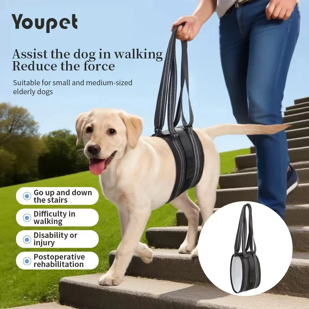 Dog Lift Harness Adjustable Dog Sling for Back Legs Support Rehab Harness for Weak Rear Legs Pet Aid Assist Tool For Elderly Dog