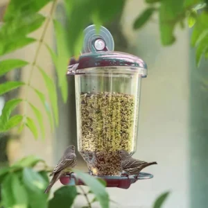 Hanging Bird Feeder Transparent Plastic Automatic Feeder With Lid Creative Suction Cup Outdoor Bird Feeding Device For Bird