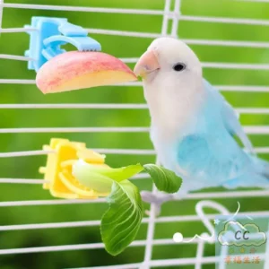 HUA 2/4Pcs Pet Bird Food Holder Parrot Fruits Vegetables Clip Bracket Cuttlefish Bone Feeder Device Clamp Bird Cage Accessories