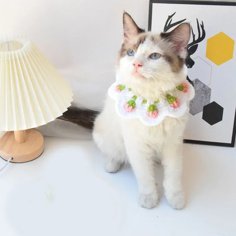 Pet Supplies Autumn Winter Bib Strawberry Pattern Pet Collar Wool Hand-knitted Cat Scarf Decoration Cat Accessories Pet Items - Image 5