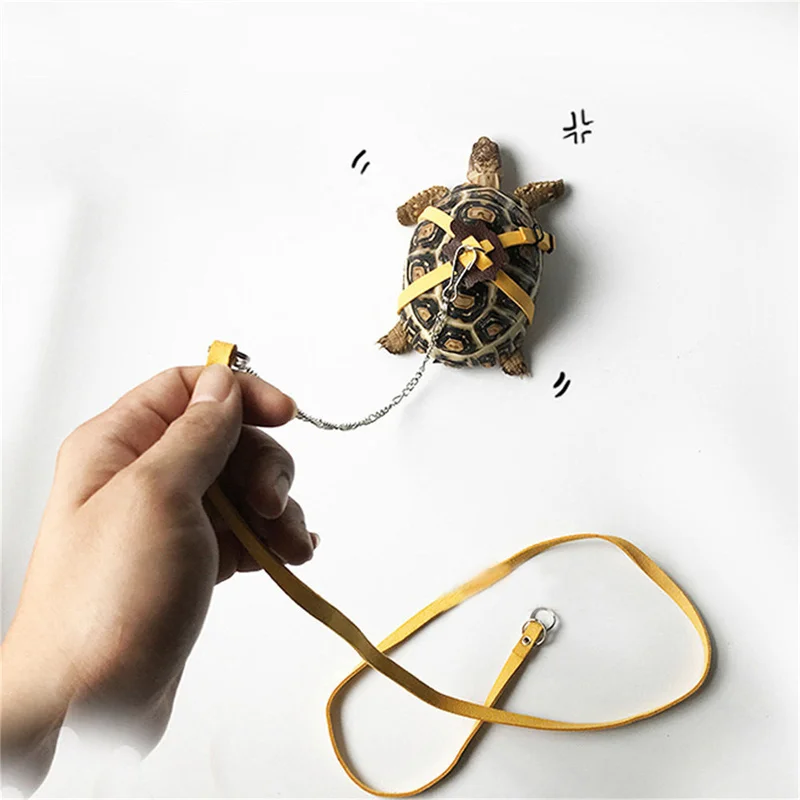 Turtle Traction Belt Control Rope Training Belt Outdoor Walking Leash Harness Reptile Leash Pet Supplies PU Leather Pet Traction - Image 4