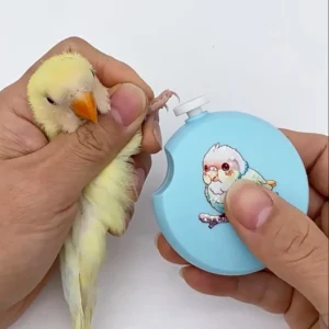 Safe Low Noise Electric Parrot Nail Trimmer Round Mini Bird Nail Cutter with 6 Grinding Heads Nail Trimming Tool Bird Paw