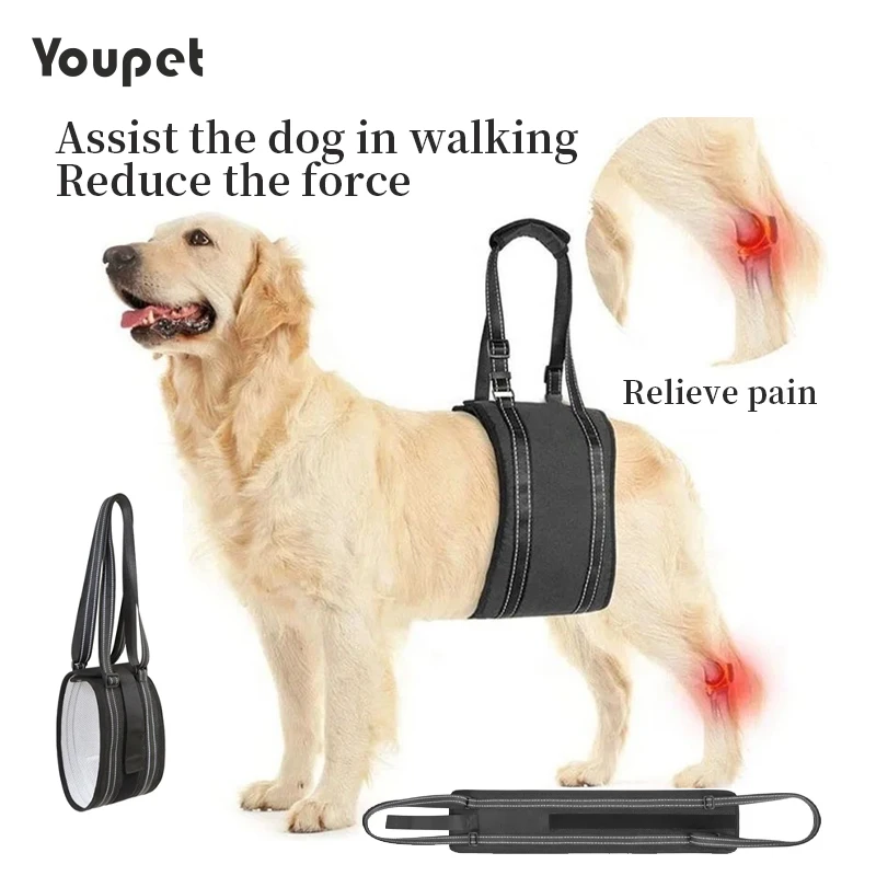 Dog Lift Harness Adjustable Dog Sling for Back Legs Support Rehab Harness for Weak Rear Legs Pet Aid Assist Tool For Elderly Dog - Image 3