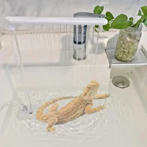 Bearded Dragon Bath Shower Head Cleaning Tools Bearded Dragon Accessories Pet Supplies Electric 360 Rotation Showerhead For
