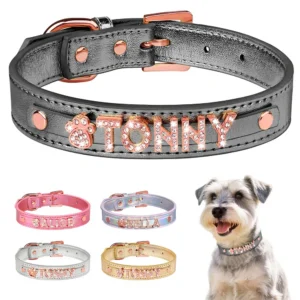 Personalized Dog Collar DIY Puppy Cat Name Collars Pet Necklace With Bling Letters Charms Free Custom For Small Medium Dogs Pug