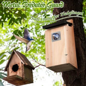Bird House Wood Hanging Nesting Box Sheltered Warm Place Outside Bluebird Viewing House Feeder for Pet Supplies Patio Small Bird