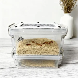 Transparent Roach Feeding Box Reusable Mealworms Breeding Box Mini Mealworms Container for Pet Terrarium Hatching Container