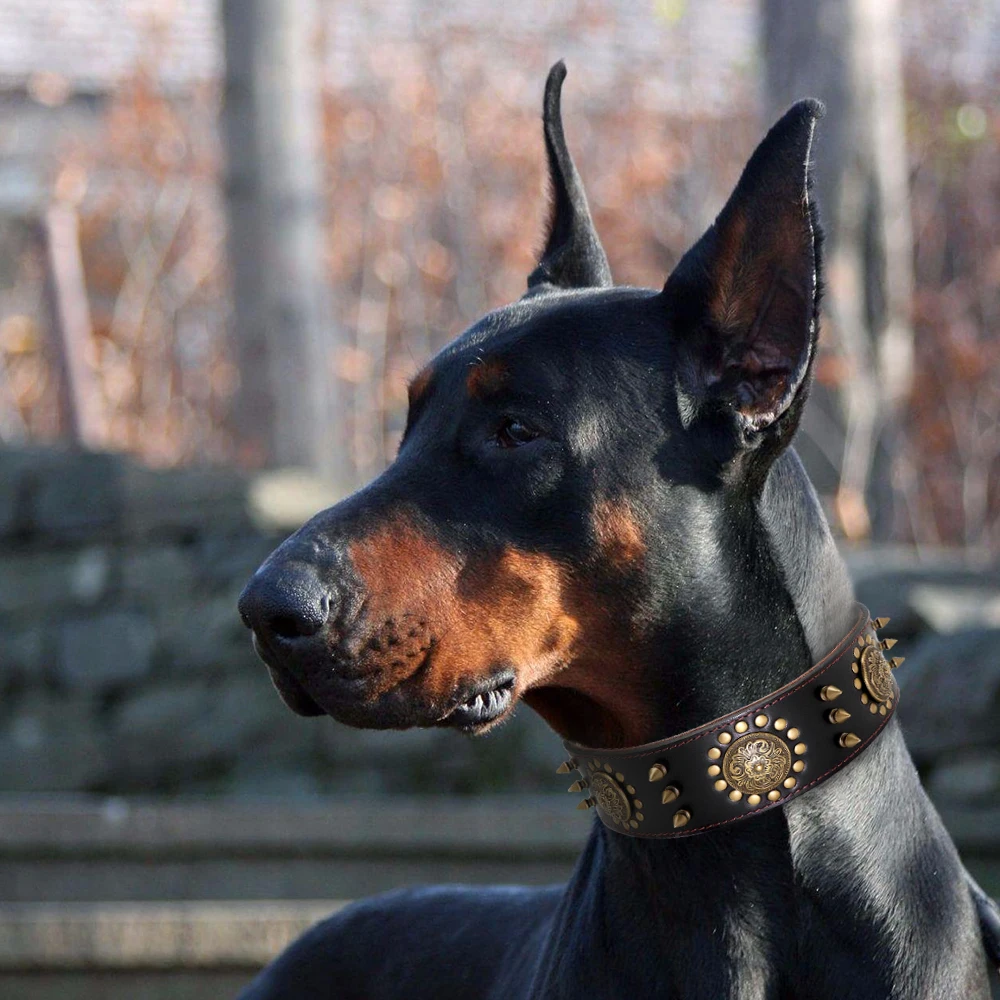 Leather Large Dog Collar Pitbull Spiked Studded Collars for Medium Large Big Dogs Genuine Leather Durable Pet Collar Brown - Image 5