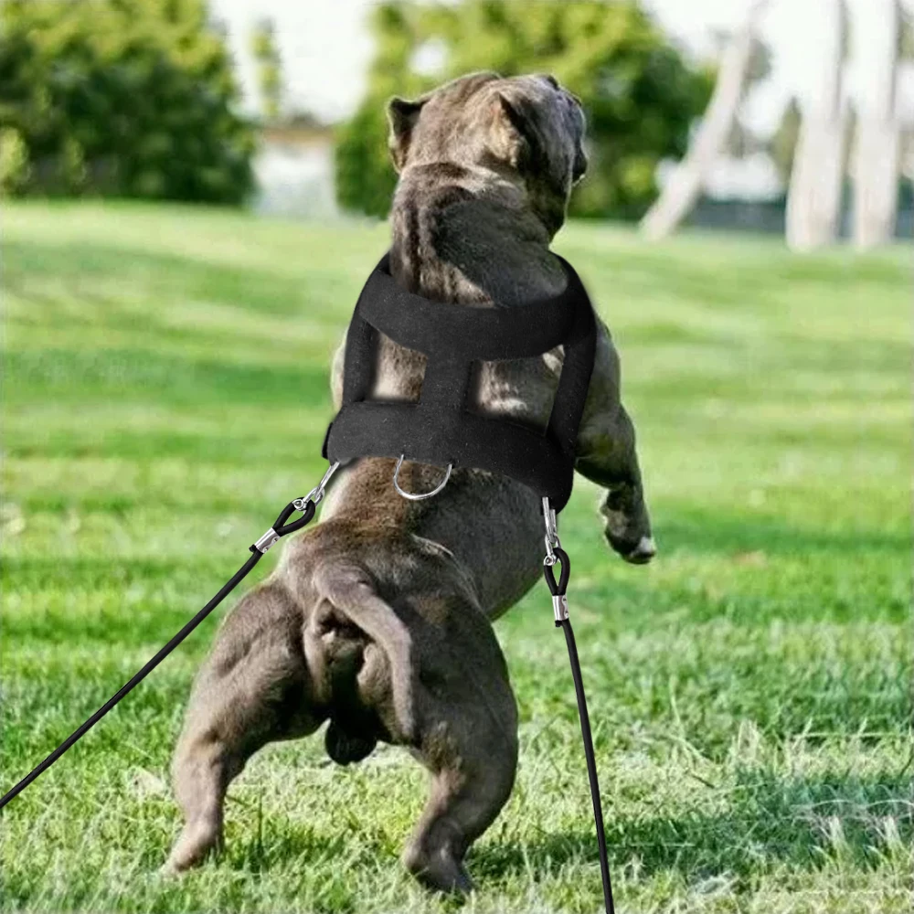 120cm Dog Weight Pulling Leash Pet Training Leashes Rope Durable For Pitbull Medium Large Dogs Pet Training Products 2pcs - Image 5