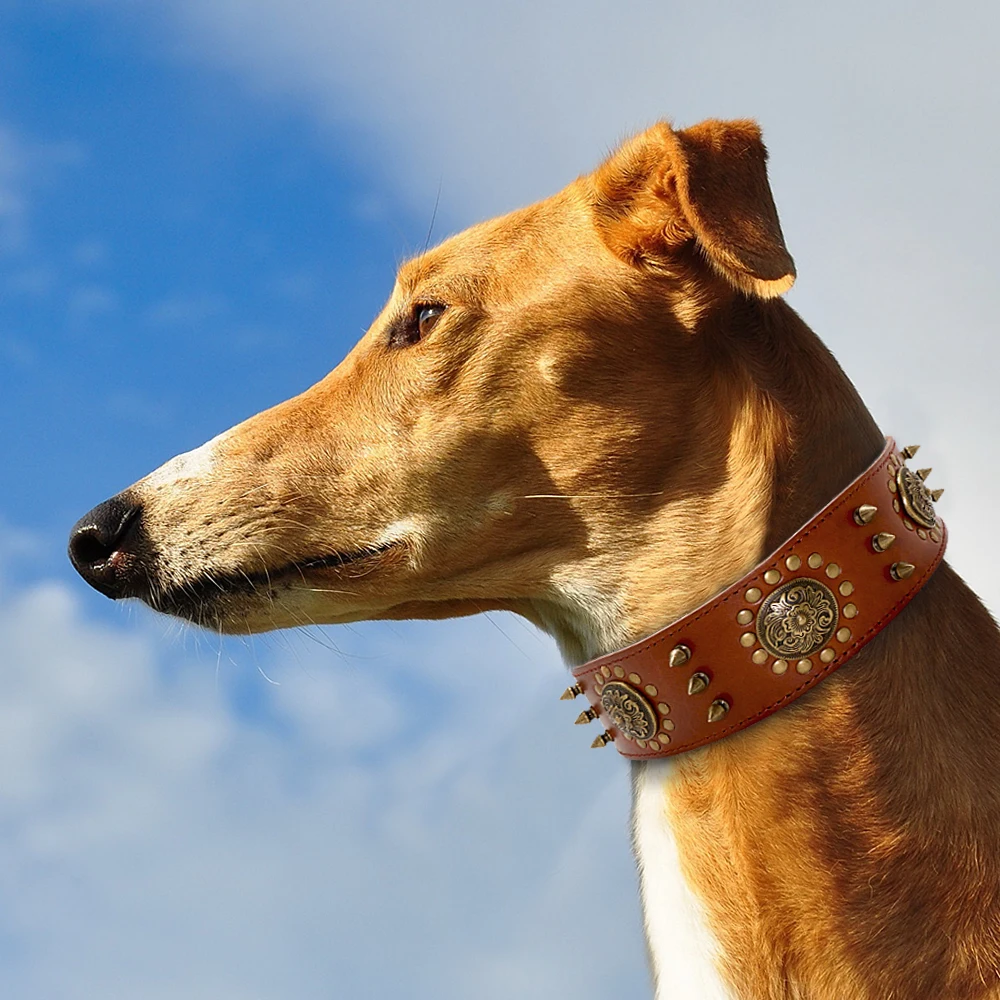 Leather Large Dog Collar Pitbull Spiked Studded Collars for Medium Large Big Dogs Genuine Leather Durable Pet Collar Brown - Image 4