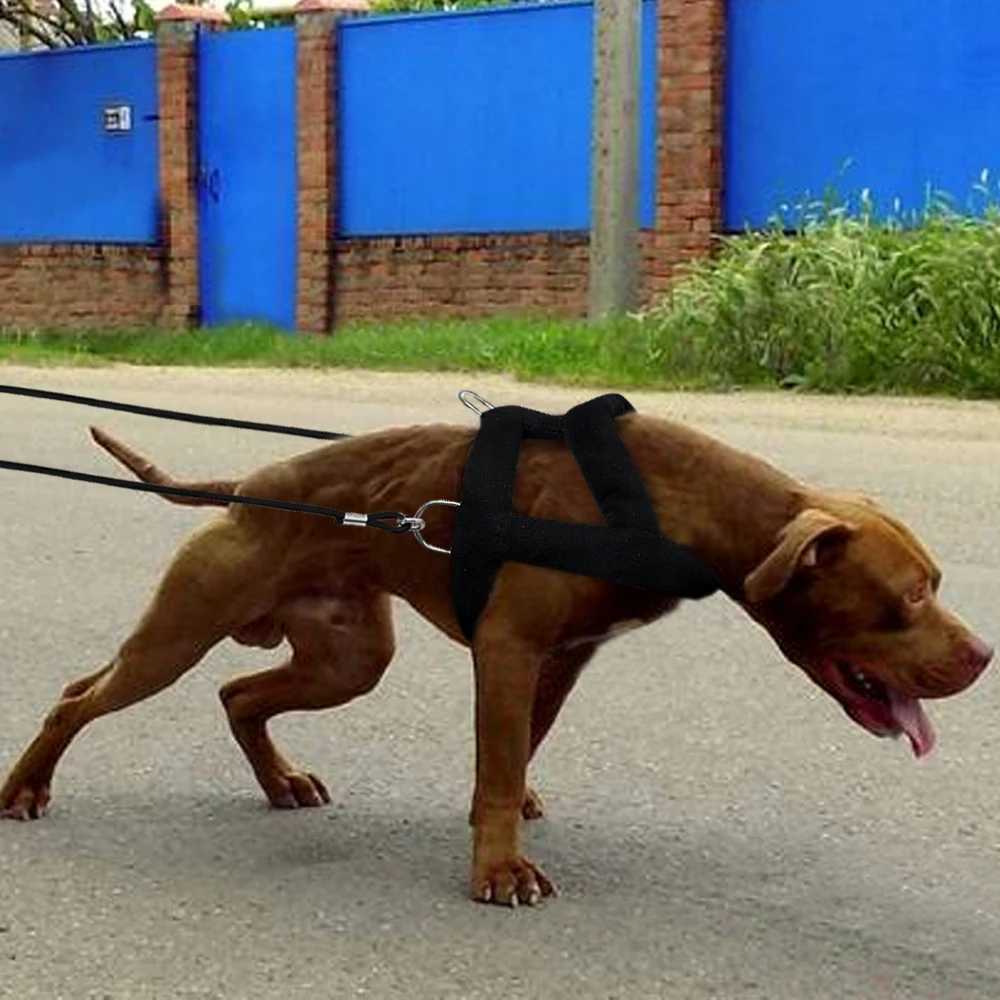 120cm Dog Weight Pulling Leash Pet Training Leashes Rope Durable For Pitbull Medium Large Dogs Pet Training Products 2pcs - Image 6