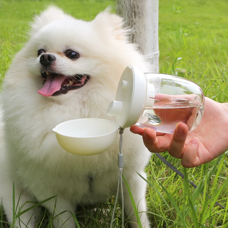 Pets Feeder Bowl Water Dispenser 2 in 1 Portable Food collapsible design portable Cat Outdoor Travel Mushroom Cups Pet Supplies - Image 2